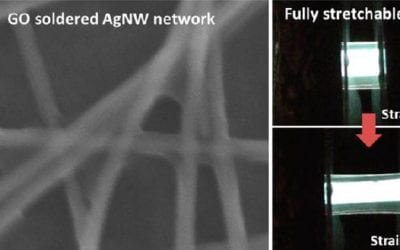 Silver Nanowire Percolation Network
