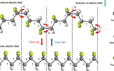 Operando Investigation of the Molecular Origins of Dipole Switching in P(VDF-TrFE-CFE) Terpolymer for Large Adiabatic Temperature Change